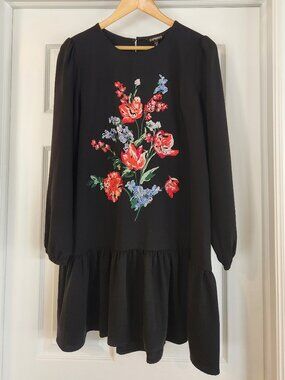 Express Dress Like New Condition